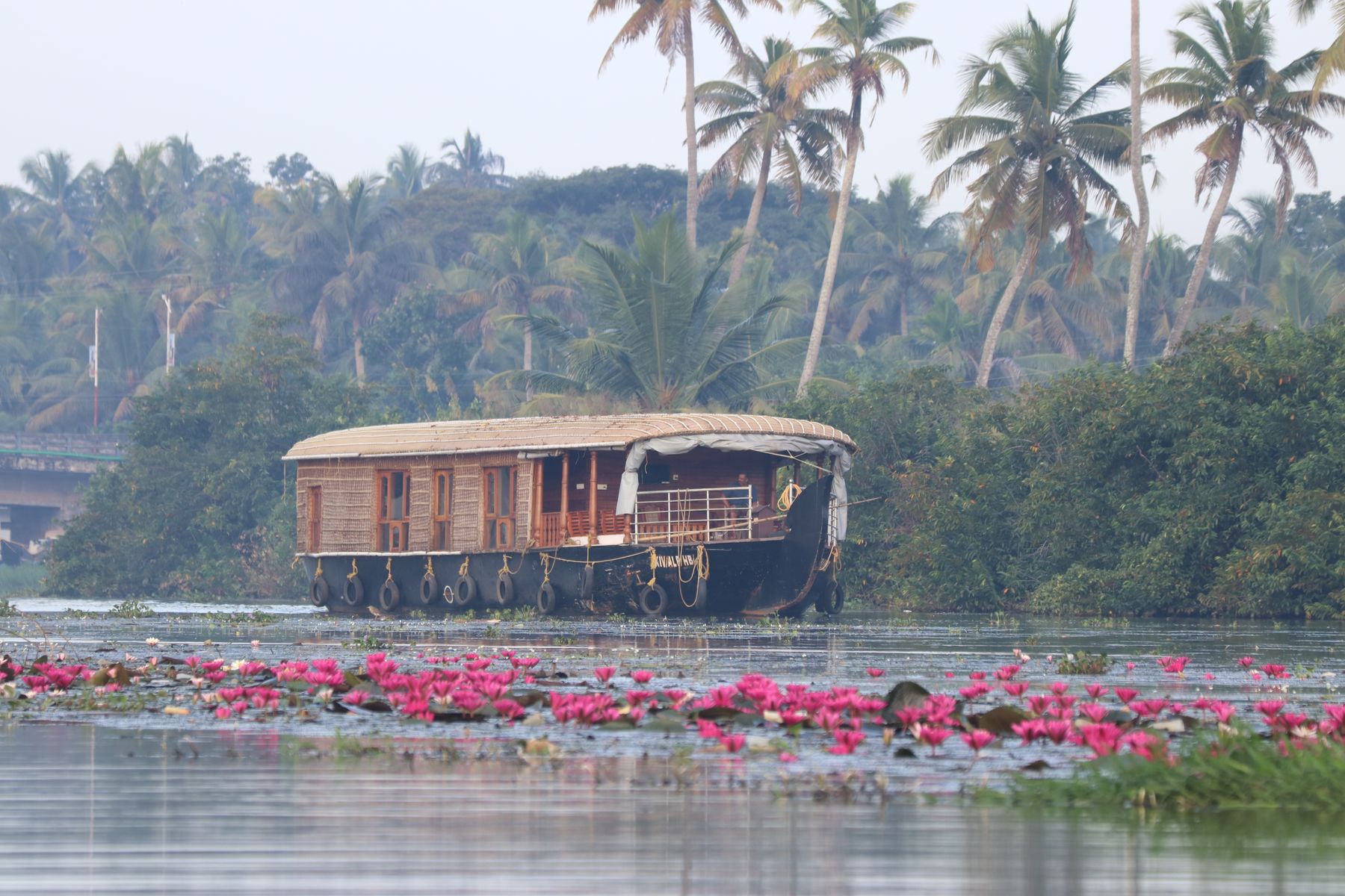 A traditional houseboat on the Kerala backwaters among water lilies