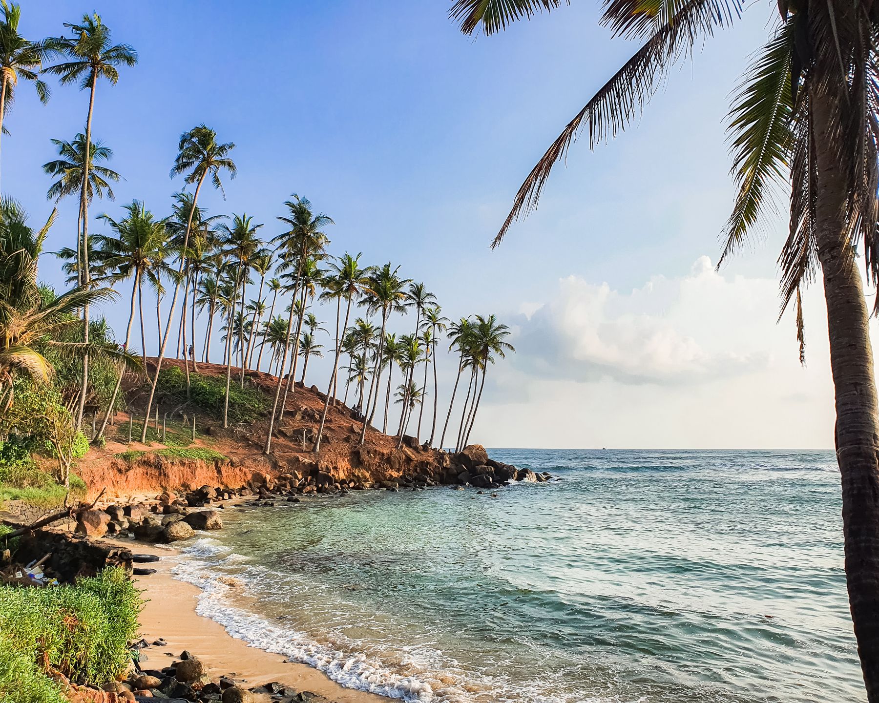 Palm trees over a turquoise bay at Mirissa beach, Sri Lanka
